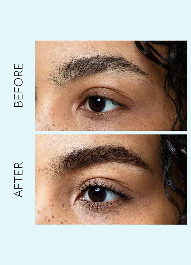 Eyebrow Liposourcils Ink Chestnut